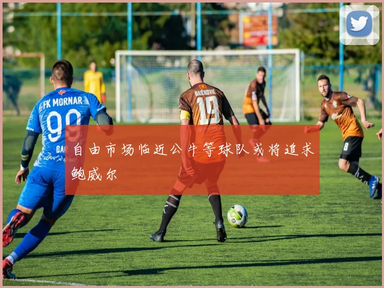 自由市场临近公牛等球队或将追求鲍威尔