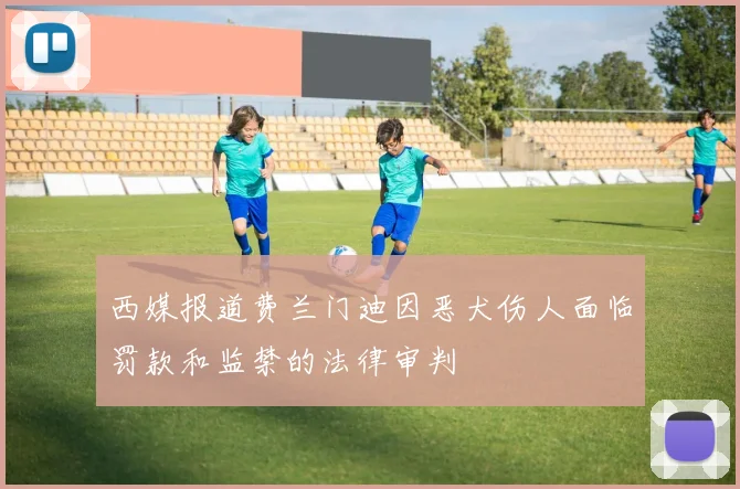 西媒报道费兰门迪因恶犬伤人面临罚款和监禁的法律审判