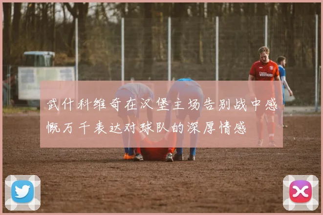 武什科维奇在汉堡主场告别战中感慨万千表达对球队的深厚情感