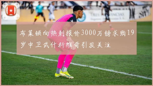 布莱顿向热刺报价3000万镑求购19岁中卫武什科维奇引发关注