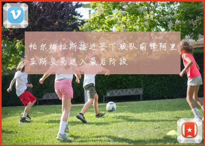 帕尔梅拉斯接近签下狼队前锋阿里亚斯交易进入最后阶段